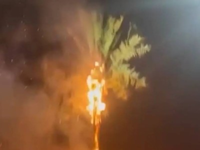 
                    Искусственная пальма загорелась в новогоднюю ночь в Актау
                