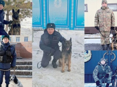 
                    Свыше 40 кг наркотиков помогли изъять служебные собаки Нацгвардии МВД РК 
                
