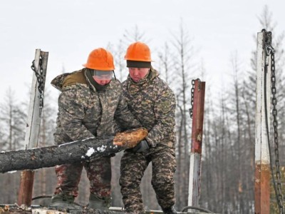 
                    В области Абай военнослужащие очистили более 17 га выгоревшего леса
                