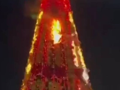 
                    В Шымкенте спасатели МЧС потушили возгорание новогодней елки
                