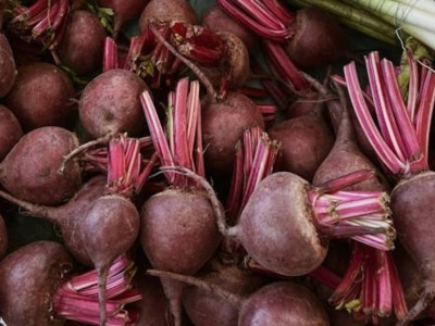 
                    В Казахстане завершена массовая уборка свеклы
                