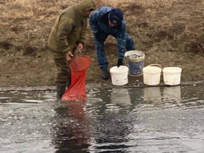
                    В Жайык-Каспийском бассейне предотвращена гибель мальков рыб
                