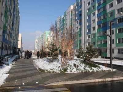 
                    Как меняется Наурызбайский район: от благоустройства дворов до современных пешеходных зон
                