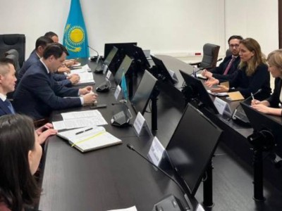 
                    В Минсельхозе обсудили развитие сотрудничества между Казахстаном и Францией
                