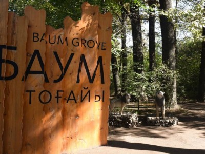 
                    Рощу Баума планируют благоустроить в Алматы
                