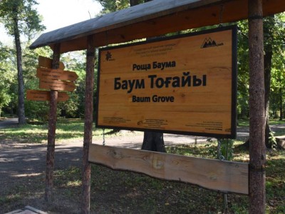
                    В Алматы планируют благоустроить рощу Баума 
                