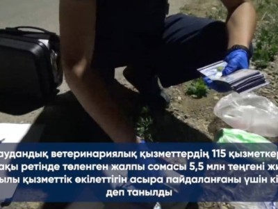 
                    В Туркестанской области  осудили руководителя ветеринарной службы
                