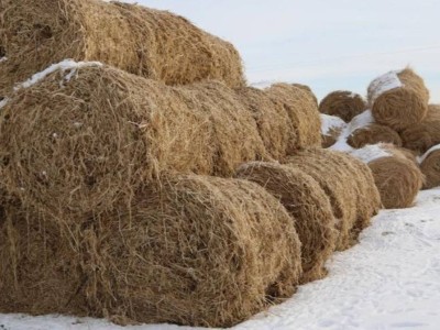 
                    В Акмолинской области восстановили права около 300 фермеров 
                