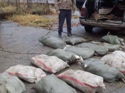 
                    Жителя ВКО задержали при перевозке более 200 кг рыбы 
                