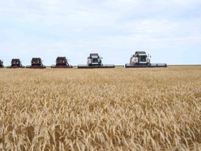 
                    Казахстан наращивает экспорт продукции АПК и производство сельхозтехники
                
