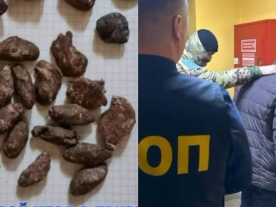 
                    Закладки с наркотиками маскировали под обычные камни в Павлодаре  
                