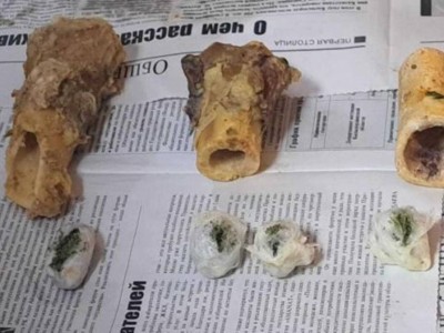 
                    Спрятанные в костный мозг наркотики хотели передать в колонию Кызылорды
                