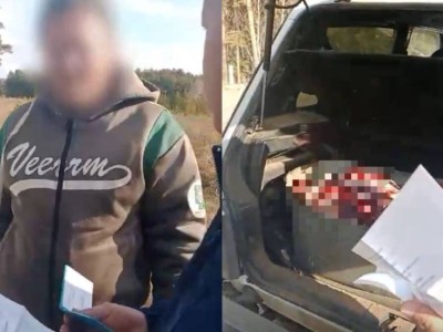 
                    В багажнике авто жителя Акмолинской области найдены туши косуль 
                
