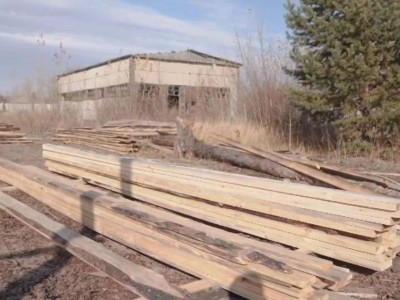 
                    В резервате «Семей орманы» введена в эксплуатацию новая полуавтоматическая пилорама
                