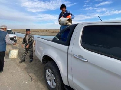 
                    Мальки спасены на отшнурованном водоеме
                