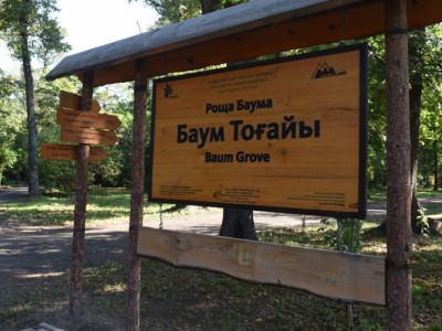 
                    В Алматы рощу Баума благоустроят в следующем году – Ерболат Досаев  
                