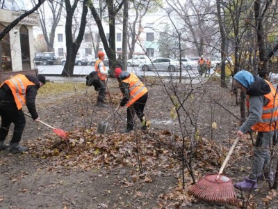 
                    В Алматы стартует кампания «Жарқын күз»
                
