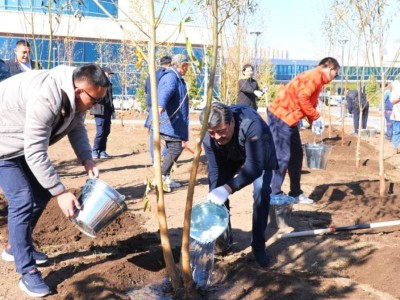 
                    "Таза Қазақстан": в Астане провели акцию по высадке деревьев
                