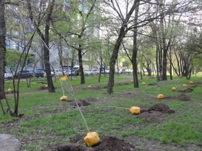 
                    В Алматы стартовала акция «Зеленый двор»
                