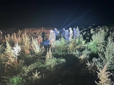 
                    Большую партию конопли изъяли полицейские при ночном рейде в Жамбылской области
                