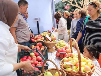 
                    Apple Fest-2024: Нiro и Captown, 130 тонн яблок, 1 700 литров яблочного компота и цирк Шапито
                