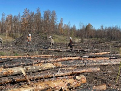 
                    Военнослужащие МЧС проводят санитарную вырубку леса в «Семей Орманы»
                