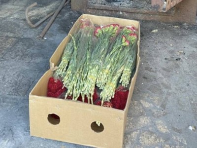 
                    Ввезенные из Китая гвоздики были уничтожены
                