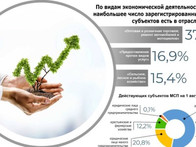 
                    В бизнесе предпринимателей мегаполиса преобладают торговля и ремонт автотехники
                
