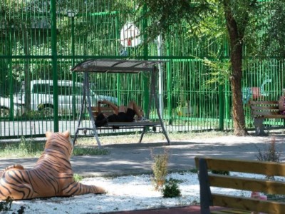 
                    Безопасность и комфорт: как обновили детскую площадку на Барибаева в Алматы
                
