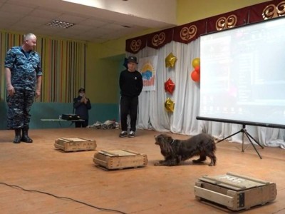 
                    Кинолога со служебной собакой направили в детский лагерь в СКО
                