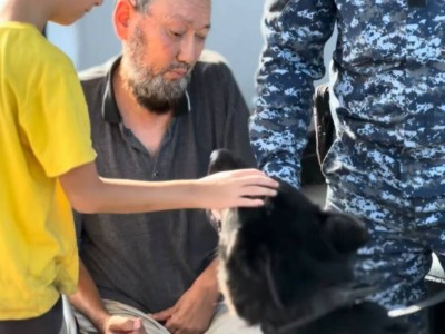 
                    Найдены пропавшие мальчики в области Жетысу
                