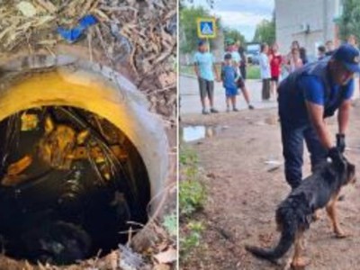 
                    Необычный вызов на 112 получили актюбинские спасатели
                