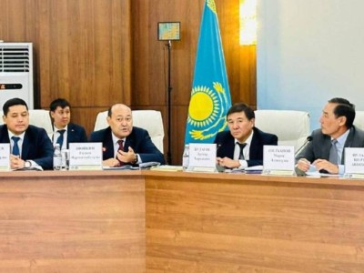 
                    Актуальные вопросы развития института этномедиации обсудили в Астане
                