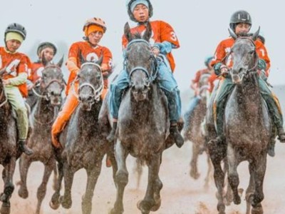 
                    Определились первые участники Всемирных игр кочевников по байге 
                