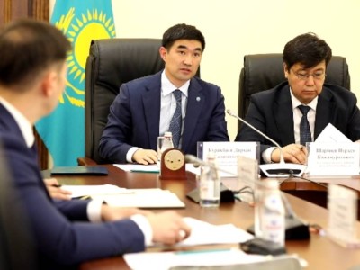 
                    ОПГ во главе с гендиректором резервата «Ертіс Орманы» подозревается в хищении леса
                