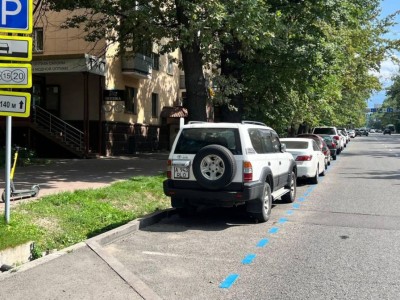 
                    На дорогах Алматы появилась синяя разметка – акимат дал разъяснение  
                