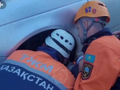 
                    Застрявшую под машиной собаку спасли в Усть-Каменогорске
                