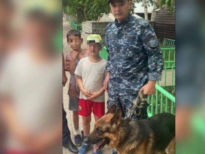 
                    Пропавшего мальчика нашла полицейская собака Феликс в Астане
                