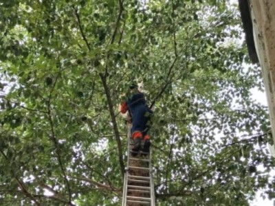 
                    Сотрудники МЧС спасли кота в Астане 
                