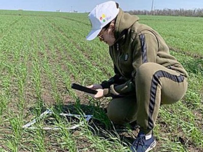 
                    Угроза в Казахстане: озвученный год назад прогноз по саранче полностью подтвердился
                