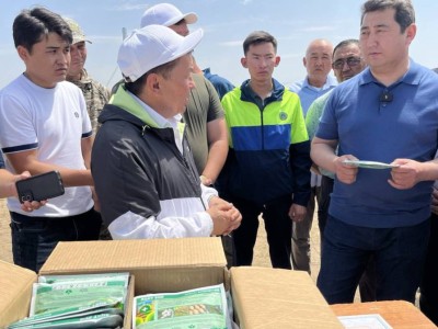 
                    Более 2,5 тыс. человек задействованы в борьбе с саранчой на юге Казахстана
                