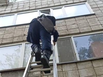 
                    В Павлодаре спаси трехлетних близнецов
                