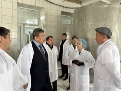 
                    В СКО запустят цех по производству сыров и овощехранилище
                