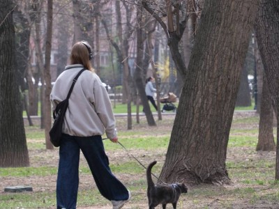 
                    В Алматы стартует программа чипирования домашних животных
                