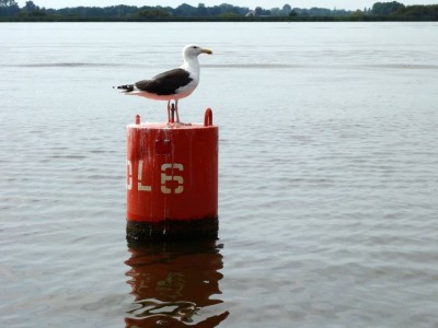 
                    Глава МЧС поручил усилить меры безопасности на воде 
                