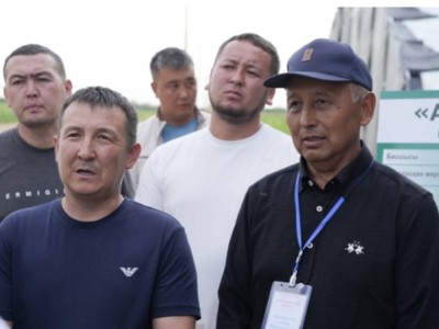 
                    Туркестанские тепличники смогут покрывать всю потребность Казахстана в огурцах
                