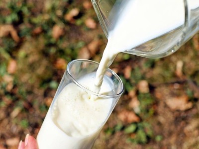 
                    Молочную продукцию пытались провезти через границу Казахстана
                