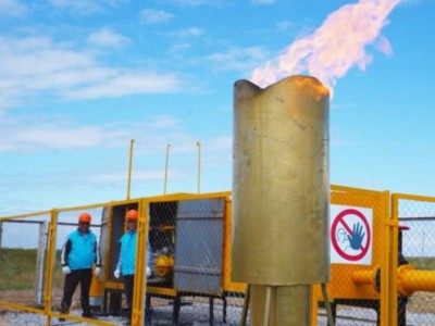 
                    В Арыси за день газифицировали около двух тысяч жилых домов
                