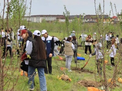 
                    Больше, чем в Центральном парке Нью-Йорка: в Алматы высадили 30 тысяч деревьев
                