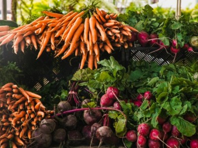 
                    Овощехранилища и склады с продуктами не пострадали во время паводков в Казахстане 
                